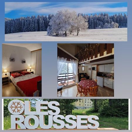 Le Duplex, Superbe Cocon Au Coeur Des Rousses, Tout Confort 5 Pers, Draps Inclus 莱鲁斯 外观 照片