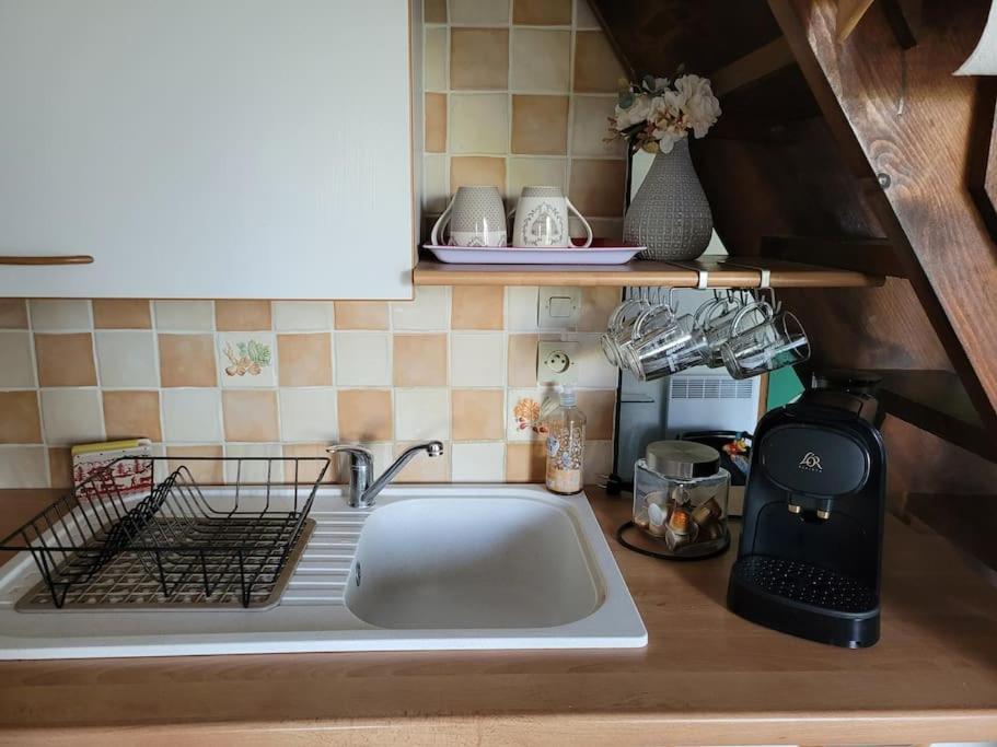 Le Duplex, Superbe Cocon Au Coeur Des Rousses, Tout Confort 5 Pers, Draps Inclus 莱鲁斯 外观 照片