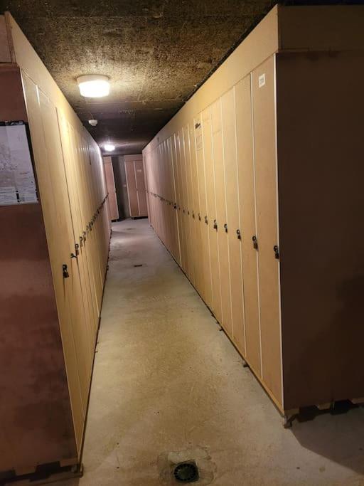 Le Duplex, Superbe Cocon Au Coeur Des Rousses, Tout Confort 5 Pers, Draps Inclus 莱鲁斯 外观 照片